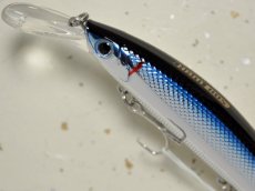 画像2: ベーシックギア バビューン110S：08 ケイムラキビナゴ■ネコポス対象外■ (2)