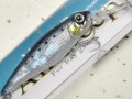 【SALE】バレーヒル エアマーク エアディープ67S：DP21 マイワシ■ネコポス対象外■