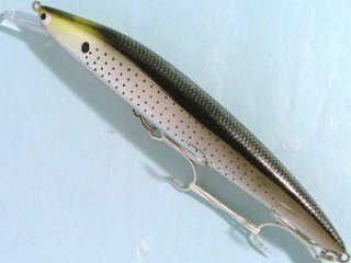 タックルハウス（TACKLE HOUSE）xGalapagos コンタクト ベゼル