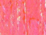 あわび本舗 Proアワビシート小判・エギ専用 あさみアワビ：杉目レッド【ネコポス配送可】