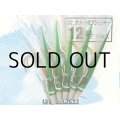 ブリーデン めばるカブラ02 グリーン皮フラッシャー：12号【ネコポス配送可】