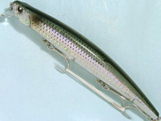 タイドミノーサーフ120 デュオ タイドミノー120サーフ：GBAZ054 高木レインボー