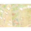 あわび本舗 Proアワビシート小判・エギ専用 重見アワビ：ナイトグロー【ネコポス配送可】