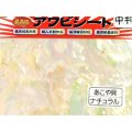 あわび本舗 最高級アワビシート中判：あこや貝ナチュラル【ネコポス配送可】