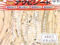 あわび本舗 最高級アワビシート中判：メキシコナチュラル【ネコポス配送可】