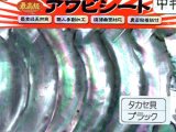 あわび本舗 最高級アワビシート中判：タカセ貝ブラック【ネコポス配送可】