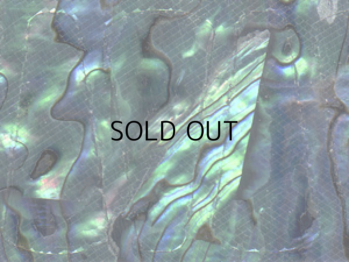 画像1: あわび本舗 Proアワビシート小判・エギ専用 重見アワビ:パイロットブラック【ネコポス配送可】 (1)