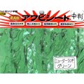 あわび本舗 最高級アワビシート中判：ニュージーランドグリーン【ネコポス配送可】