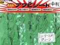 あわび本舗 最高級アワビシート中判：ニュージーランドグリーン【ネコポス配送可】