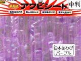 あわび本舗 最高級アワビシート中判：日本あわびパープル【ネコポス配送可】