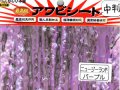 あわび本舗 最高級アワビシート中判：ニュージーランドパープル【ネコポス配送可】
