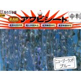 あわび本舗 最高級アワビシート中判：ニュージーランドブルー【ネコポス配送可】