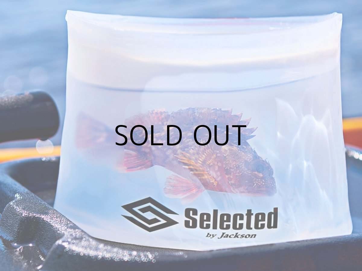 画像5: ジャクソン シリック（シリコン製ジップ付き防水マルチポーチ）：ホワイト■ネコポス対象外■ (5)