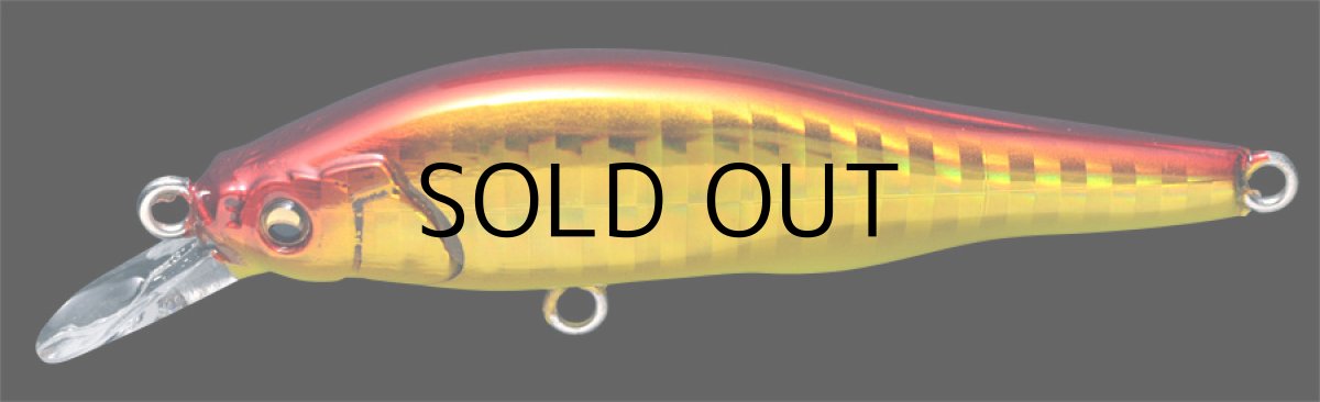 画像4: メガバス X-80Jr.SW：GG AKAKIN【ネコポス配送可】 (4)