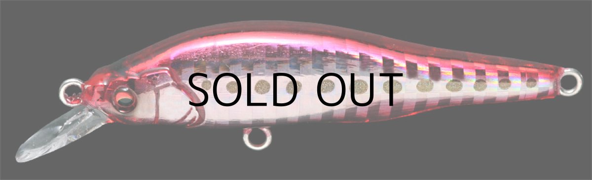 画像4: メガバス X-80Jr.SW:GG HEAT IWASHI【ネコポス配送可】 (4)