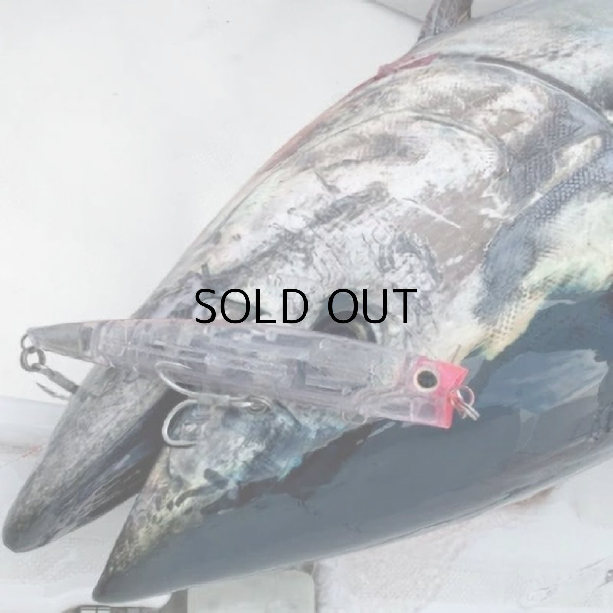 画像5: 【SALE】シマノ オシア バブルディップ220F FB XU-P22T：002 Fピンクイワシ■ネコポス対象外■ (5)