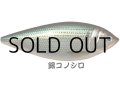 アイランドクルーズ コニーベイト180F：銀コノシロ（メッキ調ホロ）■ネコポス対象外■