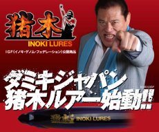 画像2: ダミキジャパン イノキミノー110：＃10 チャートボンバイエ【ネコポス配送可】 (2)