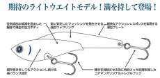 画像2: コアマン IP-18 アイアンプレートレアメタル：＃021 プレーンマコイワシ【ネコポス配送可】 (2)