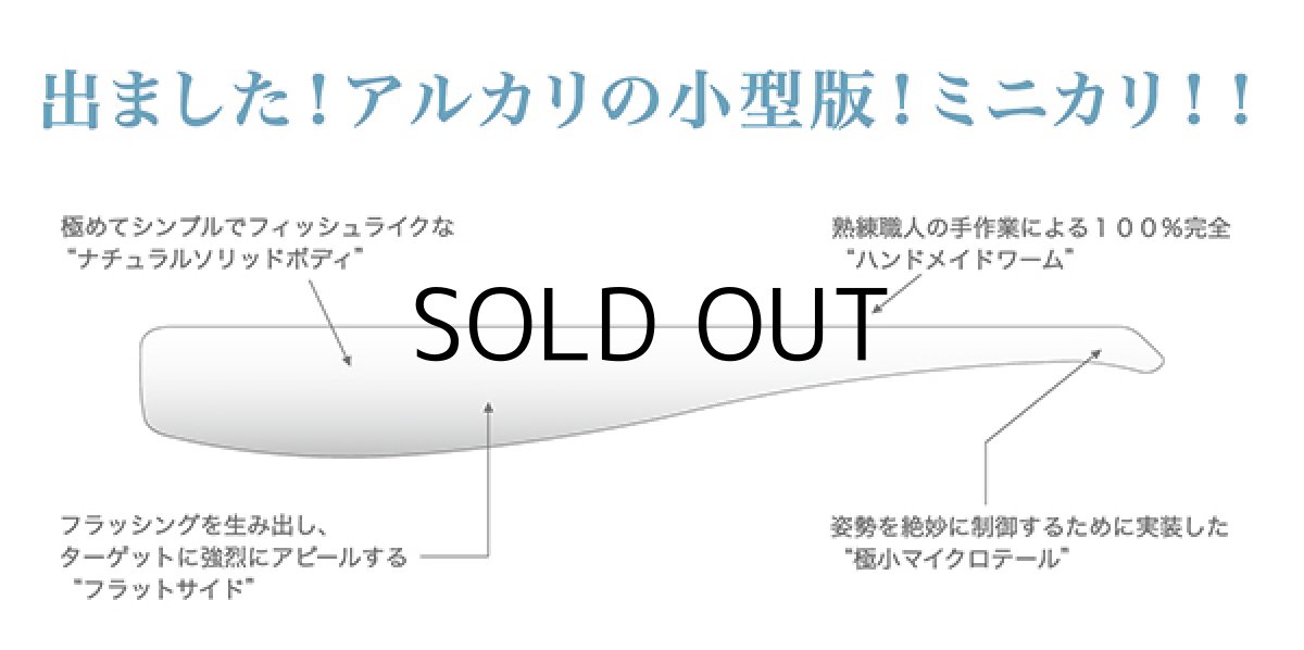 画像3: コアマン CA-03 ミニカリ：＃003 沖堤イワシ【ネコポス配送可】 (3)