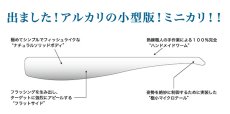画像3: コアマン CA-03 ミニカリ：＃001 カタクチイワシ【ネコポス配送可】 (3)