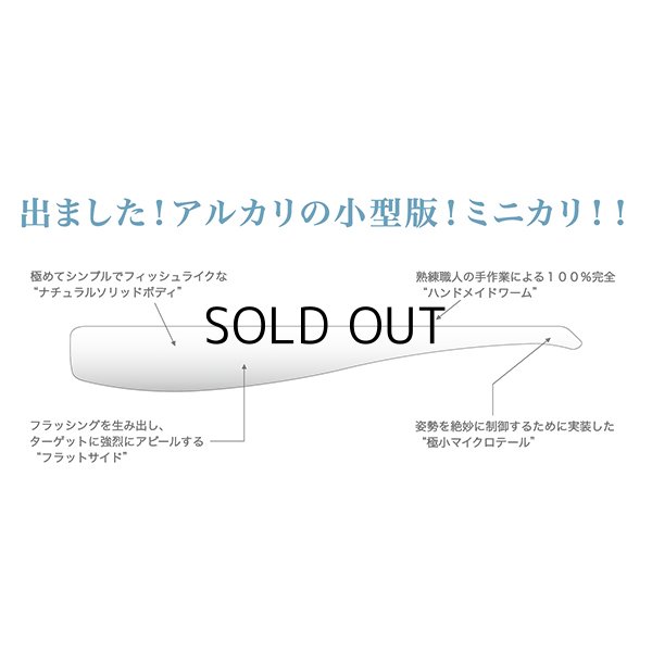 画像3: コアマン CA-03 ミニカリ：＃007 チャートバック【ネコポス配送可】