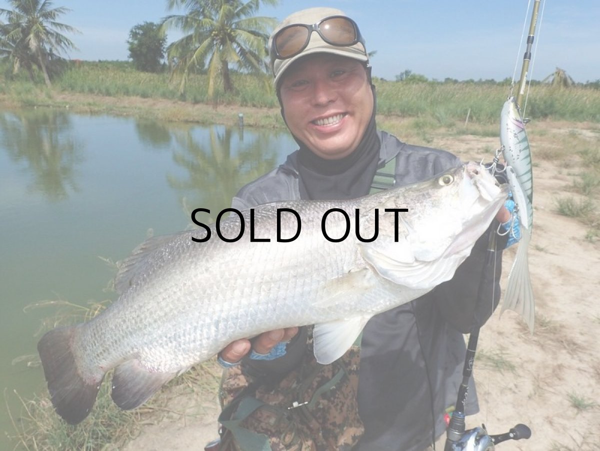 画像10: エレメンツ ダヴィンチ190用ランブルフィッシュテール（1個入り）：オレンジ【ネコポス配送可】 (10)