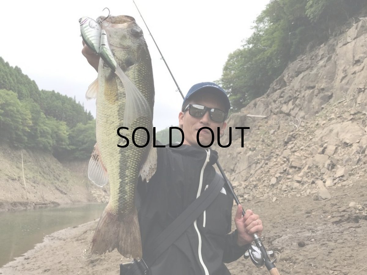 画像8: エレメンツ ダヴィンチ190用ランブルフィッシュテール（1個入り）：オレンジ【ネコポス配送可】 (8)