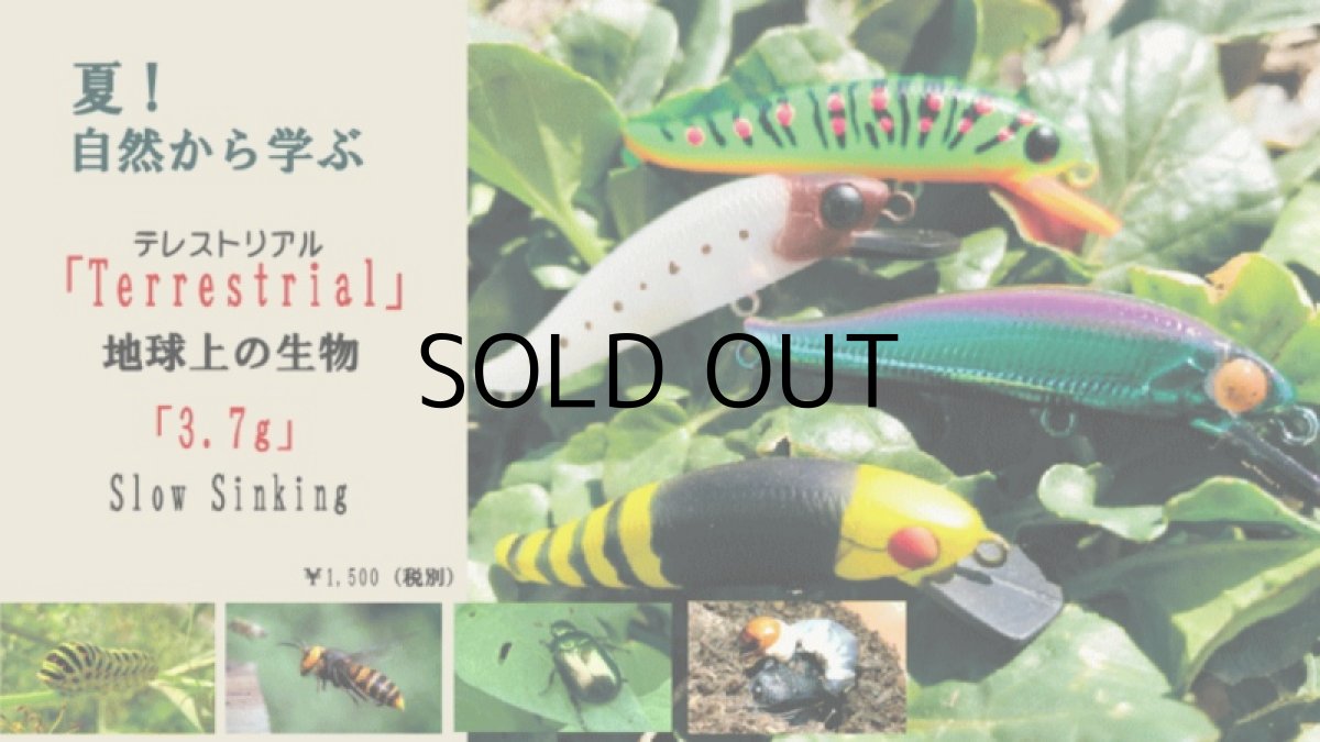 画像3: ソウルズ ナムサン5：T02 スズメバチ【ネコポス配送可】 (3)