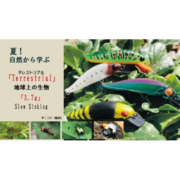 画像3: ソウルズ ナムサン5：T03 コガネムシ【ネコポス配送可】