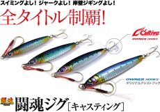 画像2: ダミキジャパン 闘魂ジグ20g：＃18 CRイワシ/超ケイムラ（限定カラー）【BY-A】【ネコポス配送可】 (2)