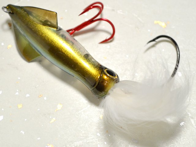 アーネスト アクエリアス 烏賊様 ホタルイカ By E Dm便配送可 の通販 釣り助オンラインショップ 神奈川県川崎市