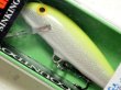 画像1: ラパラ CD07：SFC Silver Fl Chart.【BY-A】【ネコポス配送可】 (1)