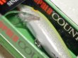 画像3: ラパラ CD07：SFC Silver Fl Chart.【BY-A】【ネコポス配送可】 (3)