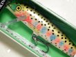 画像1: ラパラ CD09：RT Rainbow Trout【BY-A】【ネコポス配送可】 (1)