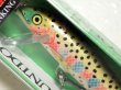 画像2: ラパラ CD09：RT Rainbow Trout【BY-A】【ネコポス配送可】 (2)