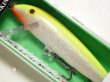 画像1: ラパラ CD09：SFC Silver Fl Chart.【BY-A】【ネコポス配送可】 (1)
