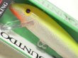 画像2: ラパラ CD09：SFC Silver Fl Chart.【BY-A】【ネコポス配送可】 (2)