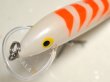 画像3: ラパラ SCRCD07：CG Pearl Orange【BY-A】【ネコポス配送可】 (3)