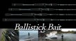 画像1: [ロッド]ヤマガブランクス バリスティック ベイト Ballistick Bait 73ML WILD CARD■ネコポス対象外■ (1)