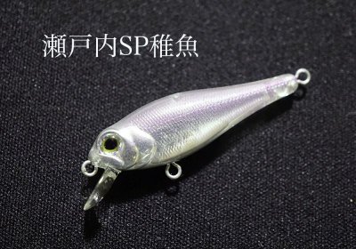 画像1: インクスレーベル ジェイドINXカスタム サスペンドモデル：瀬戸内SP稚魚【ネコポス配送可】