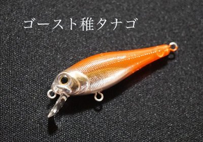 画像1: インクスレーベル ジェイドINXカスタム サスペンドモデル：ゴースト稚タナゴ【ネコポス配送可】