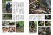 画像2: [本]つり人社 Old Tackle Anglers2 （オールドタックルアングラーズ2）【ネコポス配送可】 (2)