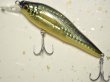 画像1: メガバス X-80SW LBO：GG LENS CHAMPAGNE BAIT【ネコポス配送可】 (1)