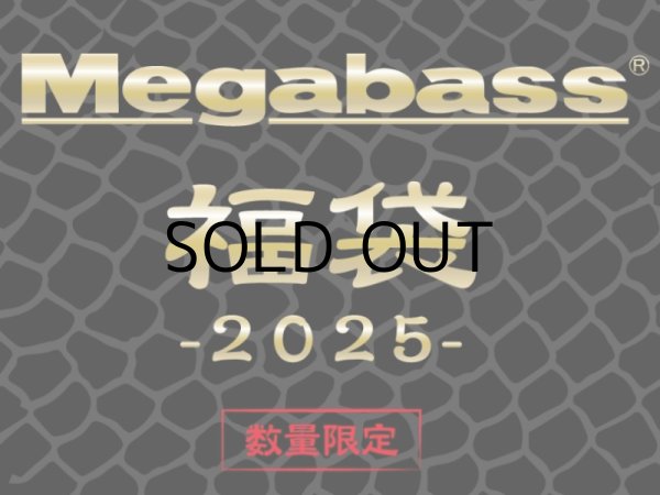 画像1: メガバス 福袋2025 ソルト用■ネコポス対象外■ (1)
