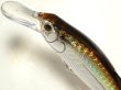 画像2: タックルハウス クルーズシンキングミノー80：No.12 SHGアジ【ネコポス配送可】 (2)
