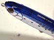 画像2: タックルハウス クルーズフローティングペンシル80：No.7 SHGイワシRB【ネコポス配送可】 (2)