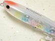 画像2: タックルハウス クロナッツ79：No.17 PPレインボー【ネコポス配送可】 (2)
