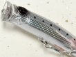 画像3: タックルハウス フィードポッパー100SW：CGカスタム T-800（限定カラー）【ネコポス配送可】 (3)