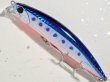 画像1: デュオ ビーチウォーカーアクシオン95S：H-87 TSマズメイワシ【ネコポス配送可】 (1)